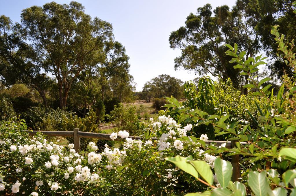 Guildford River Retreat Perth Exterior foto